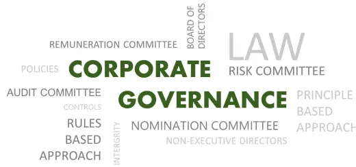 Understanding Corporate Governance